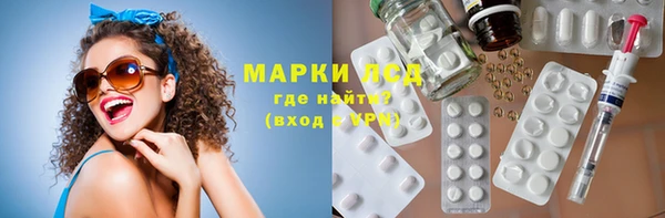 mdpv Бородино