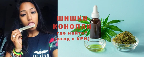 mdpv Бородино