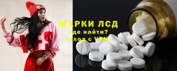 гидра Богородск