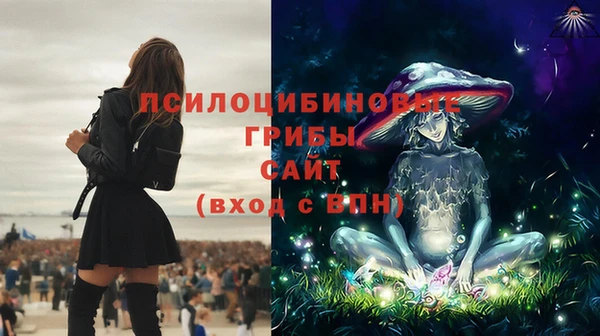 трава Бугульма