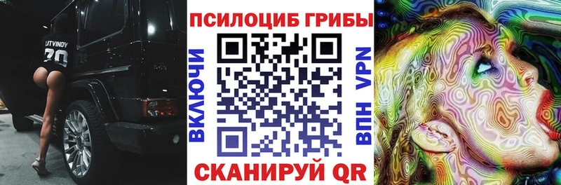 Галлюциногенные грибы мухоморы  Ершов 