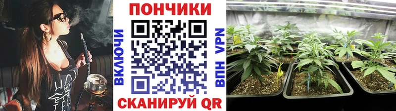 Шишки марихуана Ganja  купить  сайты  ОМГ ОМГ маркетплейс  Ершов 